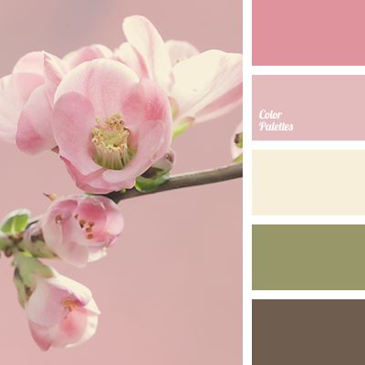 bright pink, brown, color of cherry, color of cherry blossoms, dark brown, green, khaki, light pink, olive-green, pale yellow, pastel pink, pink, pink cherry, shades of pink. Muted Color Combos, Flat Bedroom, In Color Balance, Color Palette Ideas, Palette Ideas, Paint Chip, Color Palate, Design Seeds, Color Balance