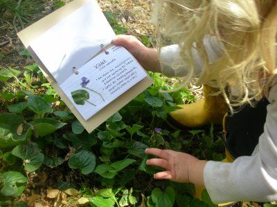 Make a Herbarium....a small book for kids to make to remind them what the plants growing around them are and what they are used for. Plants Journal, Learning Herbs, Nature Learning, Nature Journals, Homeschool Nature Study, Herbal Education, Maluchy Montessori, Taraxacum Officinale, Nature School