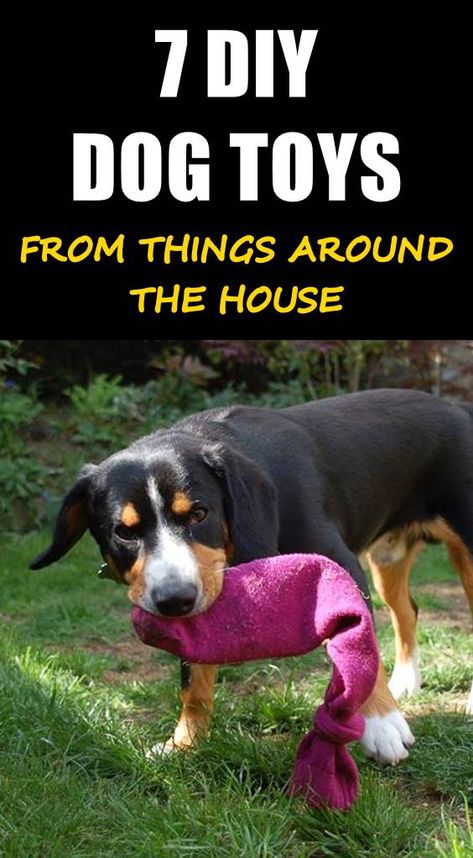 Everyone suffers from boredom from time to time. It's only natural for dogs to feel it too. Here are 7 DIY fun dog toys you can make at home. How To Make Dog Toys Diy, Diy Chew Toys For Puppies, Diy Crinkle Dog Toy, Diy Busy Toys For Dogs, Homemade Puppy Toys, Diy Puppy Toys Homemade, Dog Toys For Small Dogs, Diy Dog Boredom Buster, Homemade Dog Puzzle Toys