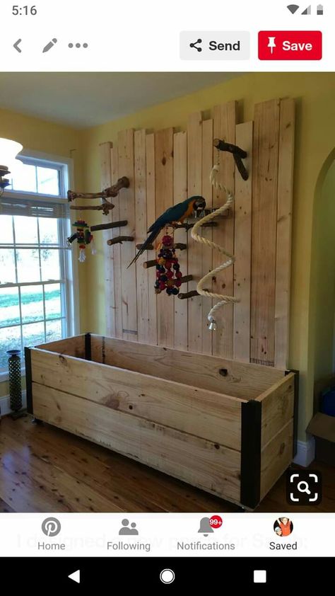 Bird Room Ideas, Parrot Ideas, Macaw Cage, Big Bird Cage, Homemade Bird Toys, Parrot Play Stand, Bird Room, Diy Bird Cage, Diy Bird Toys