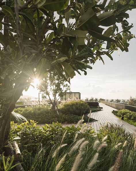 The Deck | Patong, Thailand | SHMA #landscape  #thailand #deck #timber #wood #landscapearchitecture #resort #instagram #ig #igworthy #sun #sunflare #photography Shma Landscape, Roof Top Landscape, Sunflare Photography, Free Landscape Design Software, Patong Thailand, Design Software Free, Landscape Design Software, Patong Beach, Gardening Design