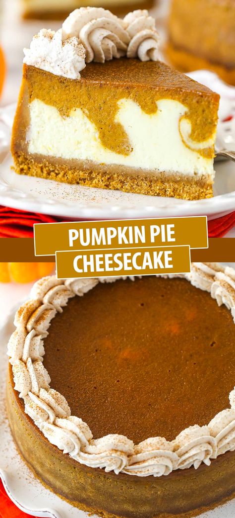 Pumpkin Pie And Cheesecake, Pumpkin Pie Cheesecake Swirl, Layered Pumpkin Pie Cheesecake, New York Style Pumpkin Cheesecake, Best Cheesecake Crust, Pumpkin Cheesecake Cheesecake Factory, Pumpkin Cake Cheesecake, Fall Cheese Cakes Recipes, Pumpkin Roll Cheesecake