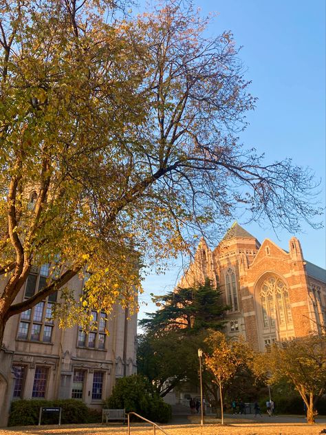 University Of Washington Seattle Campus, Uw Dorm University Of Washington, Uw Seattle Aesthetic, University Of Washington Seattle Aesthetic, Seattle Fall Aesthetic, Uw Aesthetic, University Of Washington Aesthetic, Collage Campus, Fall In Seattle