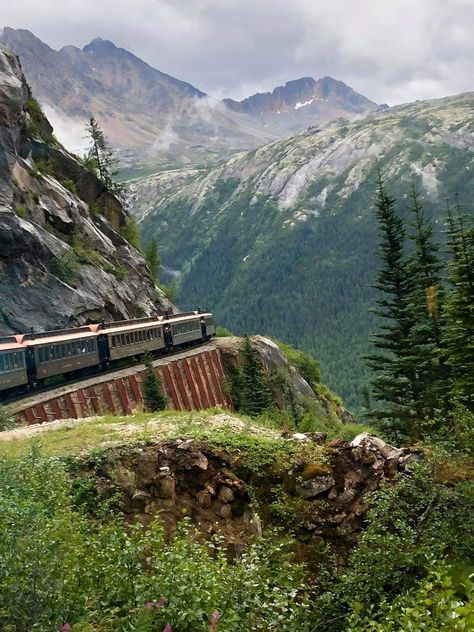 Alaska Disney Cruise, Alaska Cruise Aesthetic, Alaska Aesthetic Summer, Alaskan Honeymoon, Disney Alaska Cruise, Alaska Honeymoon, Alaskan Summer, Alaska Aesthetic, Alaska Train