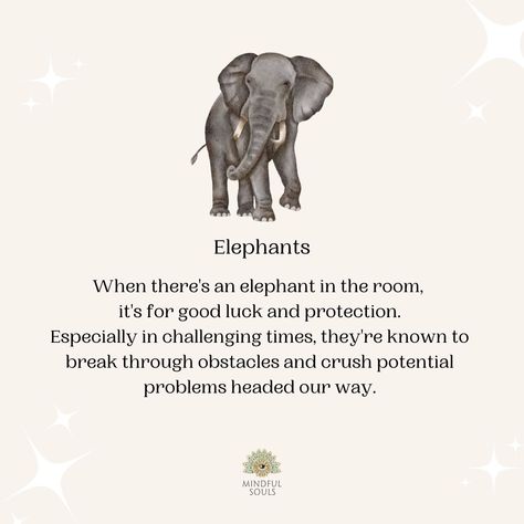 Do you see an elephant in the room as a THREAT to overcome or an OPPORTUNITY for success? 🐘✨⁠ ⁠ Share it with your friend and let them know about the elephant meaning🫶🏻⁠ ⁠ #balance #spirituality #mentalhealth #mindset #positivethoughts #mindfulliving #healthyliving #loveyourself #selflove #spiritual #higherself #innerpeace #consciousness #selfcare #wellbeing Elephant Meaning Quotes, What Does An Elephant Symbolize, Meaning Of Elephants, Elephant Love Quotes, Elephant Spiritual Meaning, Elephant Quotes Inspirational, Elephant In The Room Quotes, Elephant Poem, Elephant Goddess