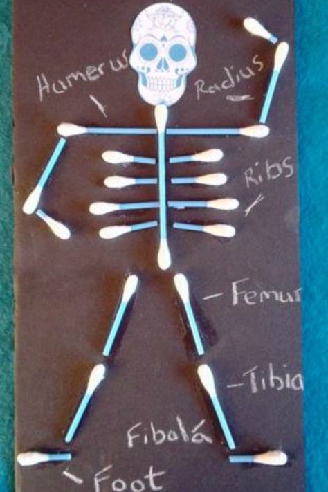 Educational Crafts For Kids, Human Body Crafts, Human Body Projects, 123 Homeschool 4 Me, Human Body Activities, Body Bones, Body Craft, Lacing Cards, Fun Indoor Activities