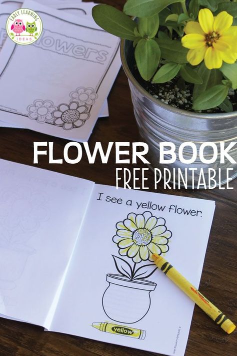 Kids will love these free flower books.  They can learn color words as they read the simple, predictable text. The checklist on the last page serves as a great review or can be used as a flower scavenger hunt. Perfect for your spring garden theme, Earth Day theme, plants theme, or flowers theme unit or lesson plans in your preschool or pre-k classroom.  Take the free printables to the playground or on a walk through the neighborhood or use in your writing center.  #preschool #preschoolactivities Early Learning Ideas, Spring Lesson Plans, Pre K Classroom, Spring Lessons, Preschool Garden, Flowers Theme, Plants Unit, Plant Activities, Color Words