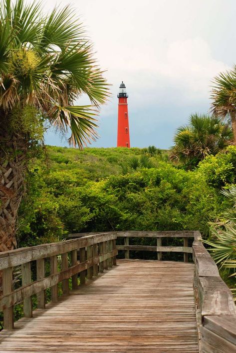 Affordable Florida Beach Towns Perfect For Your Next Vacation Beach Bucket List, Caladesi Island State Park, Beach Kayak, Aruba Beach, Okaloosa Island, Flagler Beach, Venice Florida, Beach Bucket, Beach Towns