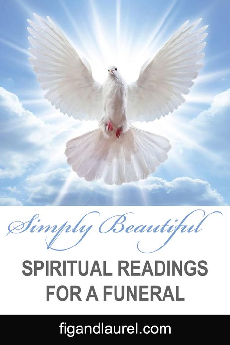 Keep the memories alive with Uplifting Bible Readings For Funerals collected here. The choice of readings for a funeral service is ultimately up to the family and their preferences. While religious readings are common in many funeral services, they are not mandatory. Use Non-religious readings, such as poems, quotes, or personal anecdotes, to honor the life of the deceased and offer comfort to the mourners. Readings For Funerals, Bible Readings For Funerals, Spiritual Poems, Good Scriptures, Religious Poems, Gospel Reading, Spiritual People, Service Ideas, Bible Readings