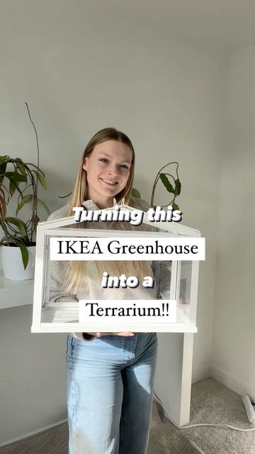 Miniature Greenhouse Terrarium, Diy Plant Humidity Dome, Greenhouse Terrarium Ideas, Ikea Greenhouse Terrarium, Indoor Plants Setup, Ikea Greenhouse Ideas, Ikea Terrarium Ideas, Ikea Greenhouse Hack, Ikea Plants Ideas