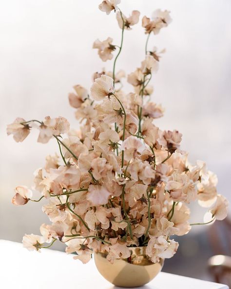 T⃒R⃒A⃒N⃒S⃒P⃒L⃒A⃒N⃒T⃒S⃒ on Instagram: “Sweet Sweet pea . 📸 by @jennydemarcoweddings @commodoreperryauberge . . . . . . #flowers #flower #sweetpeas #art #sculpture #design…”