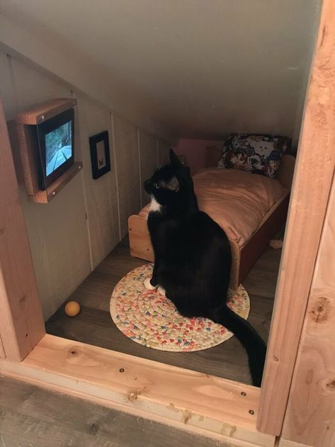 Guy Transforms Empty Space Behind Wall Into Tiny Bedroom For His Cat, Makes Other Cat Parents Feel Bad About Themselves Katt Grejer, Kat Diy, Chat Diy, Cat Bedroom, Söpö Kissa, Cat House Diy, Koci Humor, Bilik Tidur, Animale Rare