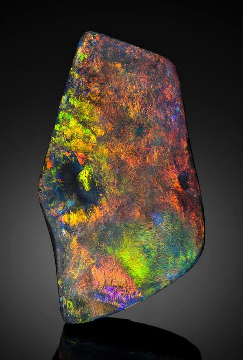 Minerals, Crystals & Fossils - Large Black Opal - Lightning Ridge, NSW,... Opal Resin, Opal Australia, Rock And Minerals, Crystal Seashells, Being High, Water Opal, Opal Art, Lightning Ridge Black Opal, Jelly Opal