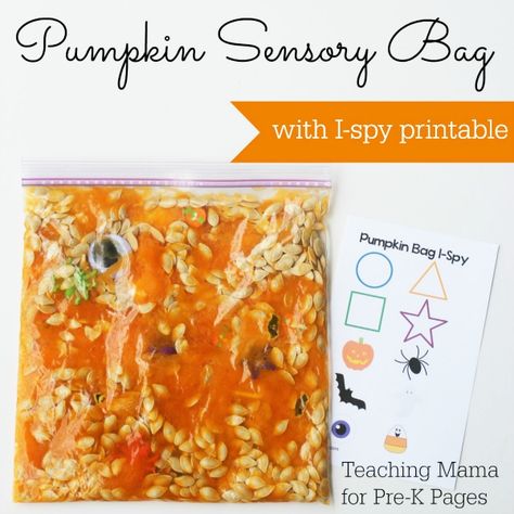 pumpkin sensory bag Pumpkin Sensory, Pumpkin Lesson Plans, Pumpkin Lessons, Autumn Preschool Theme, Pumpkins Preschool, Pumpkin Unit, Sensory Bag, Sensory Bags, Halloween Sensory