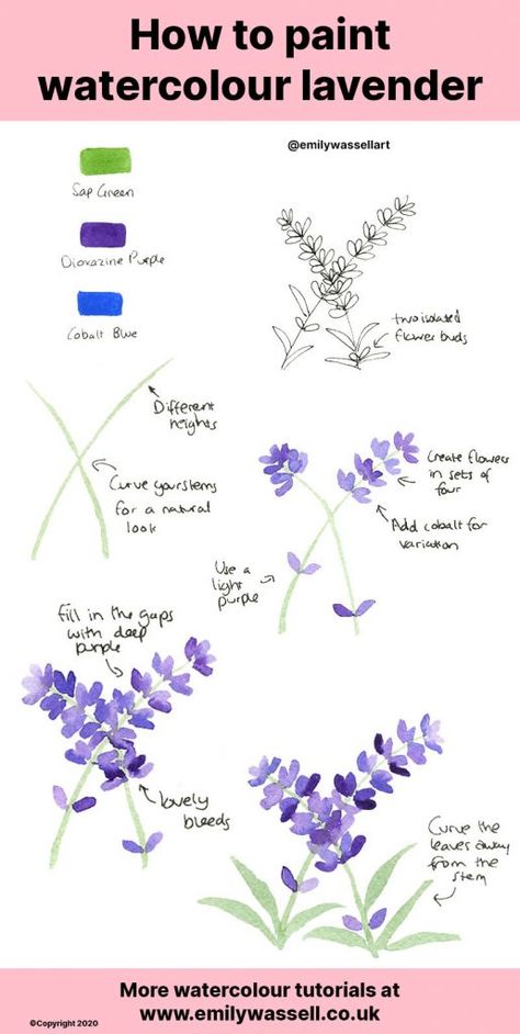 Lavender Watercolor Painting, Paint Lavender, Hur Man Ritar Blommor, Watercolour Tutorial, Lavender Watercolor, Flower Drawing Tutorials, Watercolor Beginner, Watercolor Flowers Tutorial, Learn Watercolor