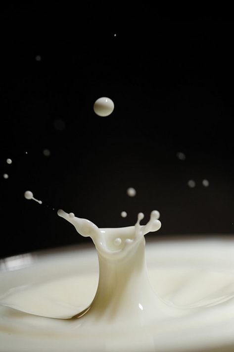 high speed photography, milk splash photo by David Fiala Milk And Mocha Bear, Milk Drawing, Goku Y Milk, Milk Crate Furniture, Milk Photo, Milk And Honey Quotes, Macro Food Photography, Milk Photography, Speed Photography