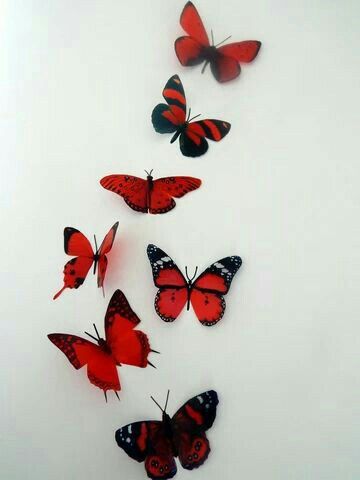 Conservatory Home, Bedroom Lounge, Window Decorations, Butterfly Decor, 3d Wall Decor, Butterflies Flying, Bedroom Red, Red Icons:), Butterfly Wall Stickers