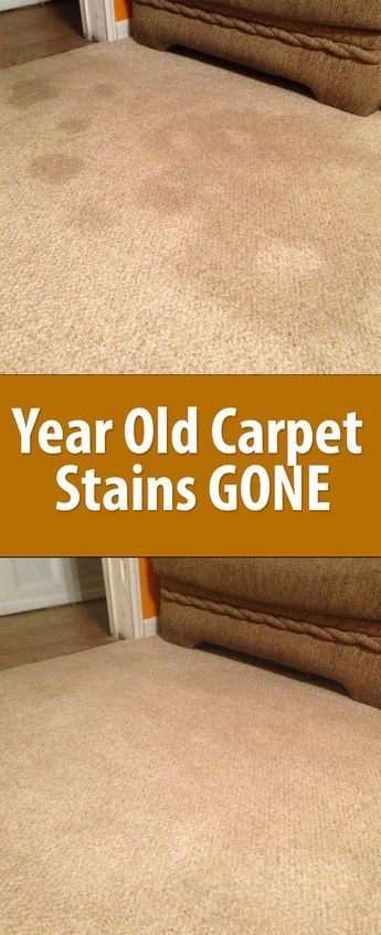 Carpet Diy, Carpet Stain, Cleaning Painted Walls, Old Carpet, Carpet Cleaning Hacks, Deep Cleaning Tips, Household Cleaning Tips, Diy Cleaners, Cleaning Recipes