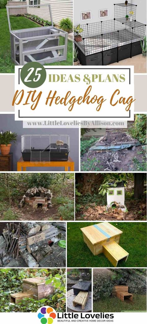 25 DIY Hedgehog Cage – Indoor and Outdoor Enclosures For Your Hedgehog Hedgehog Home Diy, Make A Hedgehog House, Best Hedgehog Cage, Pygmy Hedgehog Set Up, Hedgehog Enclosure Diy, Natural Hedgehog Habitat, Hedgehog Habitat Diy, Hedgehog House Diy, Hedge Hog Cage Ideas