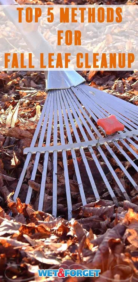 Simplify your autumn clean up with these easy leaf cleanup methods. Yard Clean Up Tips, Leaf Clean Up, Seasonal Gardening, Different Types Of Fences, Mold And Mildew Remover, Fall Clean Up, Diy Leaves, Cheap Backyard, Outdoor Cleaning