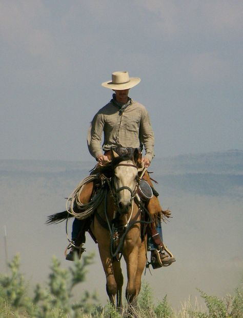 Mode Country, Cowboy Photography, Cowboy Love, Cowboy Pictures, Real Cowboys, Wilde Westen, Into The West, Cowboy Girl, Cowboy Horse