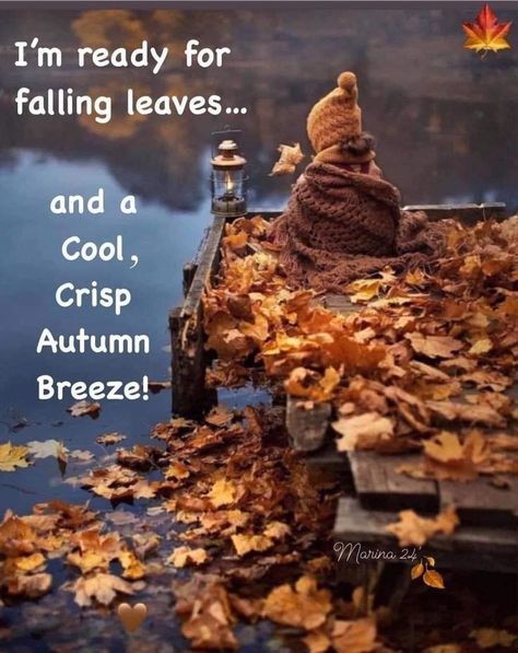 First Day Of Fall Quotes, Fall Time Quotes, Fall Quotes Autumn, Funny Fall Quotes, Happy First Day Of Fall, Fall Quotes, Funny Fall, Fall Mood Board, First Day Of Fall