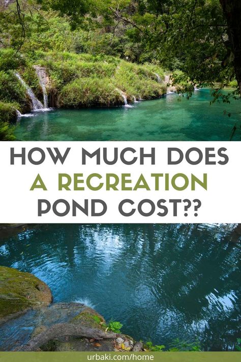 HOW MUCH DOES A RECREATION POND COST? Swim in a natural pool. A very frequent question is "How much does this cost?" Today we are looking at recreation ponds, swimming ponds, natural pools and talking about how much they cost. Plus, we'll take a look at what it's like to live in and care for one of these recreational ponds with Alan Decker of Decker's Pondscapes in Pattersonville, NY. This type of ponds attract the attention of anyone because they are of great beauty and totally... Diy Swim Pond, Recreational Pond Ideas, Swim Pond Diy Natural Pools, Pond Pools Backyard, Diy Swimming Pond, Swimming Pond Ideas, Swimming Ponds Backyard, Natural Pools Backyard Swimming Ponds, Diy Pond Pool