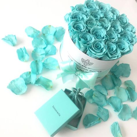 Tiffany Blue 🔝 #themillionroses #tiffany #flowerdelivery Turquoise Aesthetic, Surprise Ideas, Light Blue Aesthetic, Perfect Proposal, Aqua Turquoise, Blue Roses, Tiffany And Co, Aqua Color, Travel Wedding