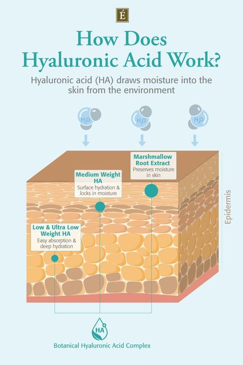 Skin Hydration Aesthetic, Hydration For Skin, Hyaluronic Acid Benefits Skincare, Hyaluronic Acid Benefits, Skin Anatomy, Eminence Organic Skin Care, Skin Facts, Skin Care Business, Skin Advice