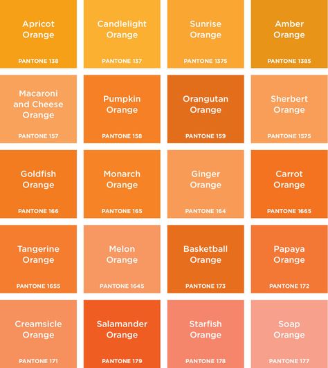 ORANGES - bridesmaid dresses can be any of these, except starfish and soap orange - alright maybe starfish... Orange Pantone, Pantone Orange, Photowall Ideas, Orange Bridesmaid, Orange Bridesmaid Dresses, Orange Color Palettes, Orange Paint, God Mat, Orange You Glad