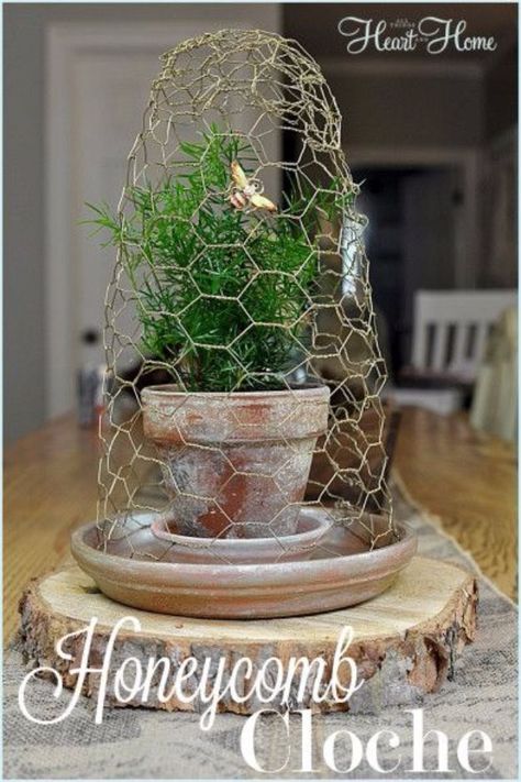 Chicken Wire Cloche, Chicken Wire Diy, Wire Cloche, Diy Honeycomb, Chicken Wire Crafts, Cloche Decor, Terracotta Flower Pots, Wire Diy, Chicken Diy