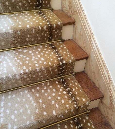 Stair Runner Brass Rods, Cheetah Stair Runner, Fuschia Rugs, Antelope Carpet, Bedroom Carpet Colors, Animal Print Carpet, Rugs Entryway, Stairs Runner, Carpet Replacement