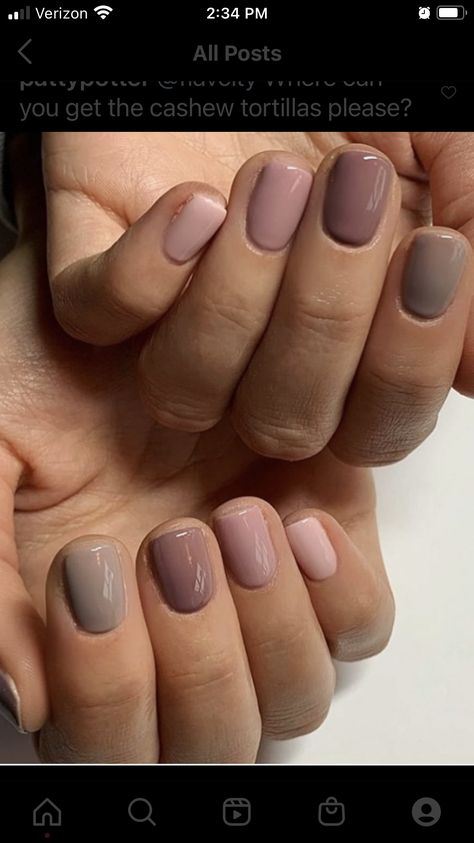 Beige Gel Nails Design, Autumn Gel Nails 2024, 3 Color Nail Combination, Taupe Pedicure, Toe Colors For Fall, Tan Nail Color, Beige Nails Design Classy, Nuetral Nail Colors, Fall Pastel Nails