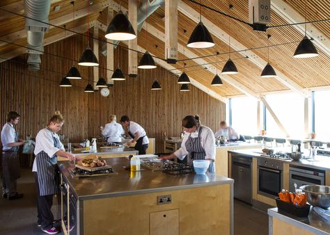 Satellite adds cookery school to River Cottage headquarters Cooking School Interior, Cooking School Design, Cooking Beets In Oven, Teaching Kitchen, Contemporary Sheds, Kitchen Workshop, Communal Kitchen, Bakery Kitchen, Cooking Courses