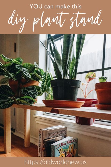 Ridiculously Easy DIY Plant Stand — Old World New Diy Plant Table Indoor, Plant Table Diy, Diy Plant Table, Mirror With Plants, Easy Diy Plant Stand, Accessory Hacks, Diy Standing Mirror, Wallpaper Plants Aesthetic, Aesthetic Plant Wallpaper