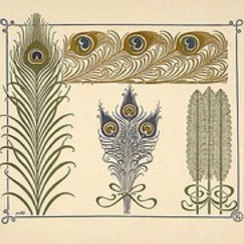 Art Nouveau peacock feather designs. Old Book Illustrations, Art Deco Peacock, Motifs Art Nouveau, Nouveau Tattoo, Design Art Nouveau, Alfons Mucha, Art Nouveau Pattern, Peacock Art, Pattern Texture