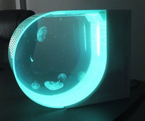 Jelly Fish Tank In House, Fish Tank In House, Jellyfish Tank Aquarium, Pet Jellyfish, Jellyfish Tank, Jellyfish Aquarium, Interior Lights, Marine Biology, Room Aesthetic