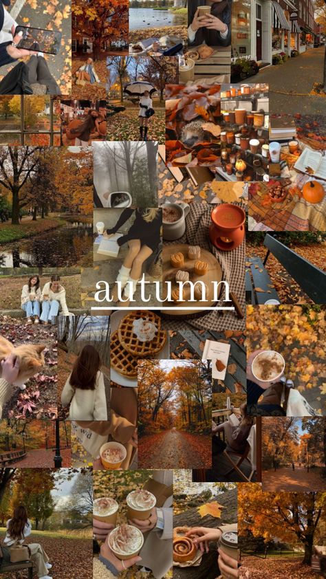 #autumn #collage #wallpaper Autumn Collage Wallpaper, Autumn Collage, Happy Birthday Icons, September Wallpaper, Fall Photo Shoot Outfits, Autumn Instagram, Fall Mood Board, Cute Fall Wallpaper, Iphone Wallpaper Fall