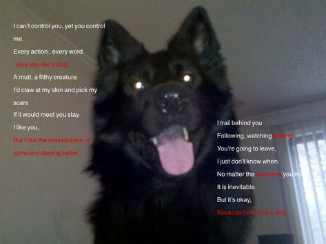 Canine Poetry, Dog Poetry, Dog Poems, Unspoken Words, Bad Dog, Love Me Like, Im Going Crazy, Writing Poetry, Black Dog