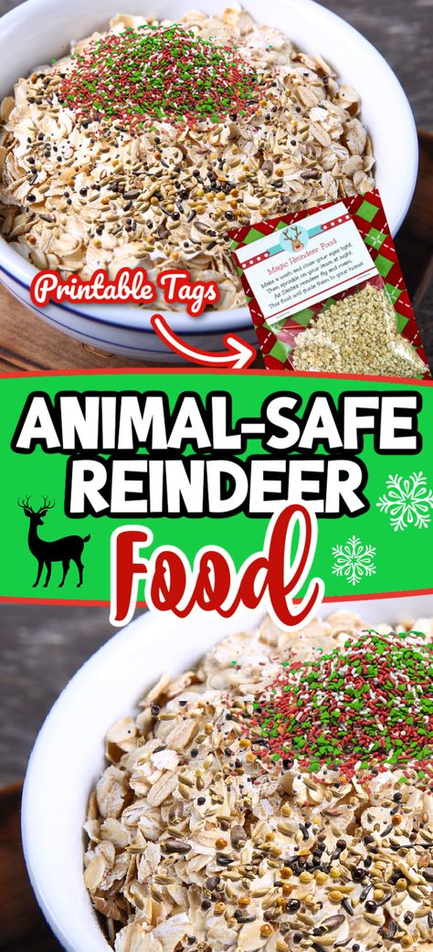 Make Your Own Reindeer Food, Reindeer Treats For Santa, Reindeer Snacks For Kids School Parties, Reindeer Sandwich Kids, Reindeer Food Recipe With Glitter, Homemade Reindeer Food, How To Make Reindeer Food For Kids, Animal Safe Reindeer Food Recipe, Raindeer Crafts Diy Food