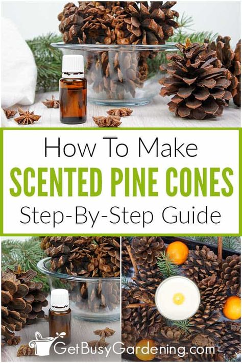 Make your own scented pine cones at home with this easy project that anyone can do. In this tutorial, I share all of the steps, materials, and equipment you’ll need. Use these DIY scented pine cones for your holiday display, or to create Christmas tree ornaments, wreaths, and more! Try my aroma combo of cinnamon, clove, and orange, or customize with your favorites, like peppermint, fir, balsam, or cedarwood. These homemade scented pine cones are frugal and quick to make with this how-to guide. Scented Pinecones Diy How To Make, Scented Pine Cones Diy, Diy Christmas Ornaments With Pinecones, How To Scent Pinecones, How To Display Pine Cones, Cinnamon Pine Cones How To Make, Scented Pinecones Display, How To Make Pine Cones Smell Like Cinnamon, How To Make Scented Pinecones