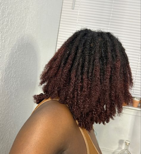 Dyed locs, locs care, locs, loc tips, loc maintenance, red locs, two strand twist starter, budding locs, texture, texture shots Dyed Locs Tips, Locs With Dyed Tips, Dyed Loc Tips, Budding Locs, Locs Two Strand Twist, Loc Tips, Texture Shots, Dyed Locs, Red Locs