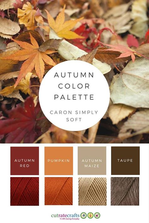 Autumn Yarn Colors, Fall Yarn Color Combinations, Autumn Pallete Colors, Afghan Color Combinations, Muted Fall Color Palette, Soft Autumn Red, Autumn Color Combinations, What Colors Go With Red, Fall Color Combinations