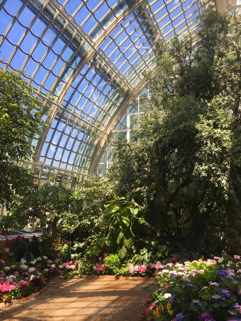 view inside of a large greenhouse with flowers and greenery with sunlight steaming in the windows, a light academia and cottagecore aesthetic 1800s Garden Aesthetic, Dream Garden Aesthetic, Manor Garden Aesthetic, Light Academia Castle, Light Green Academia Aesthetic, Palace Garden Aesthetic, Greenhouse In Garden, Castle Garden Aesthetic, Romantic Vibes Aesthetic