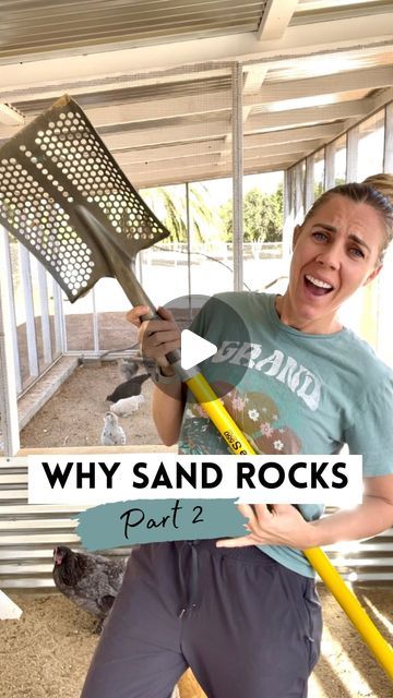 Chickens & Gardening • Lyndsey Gaskins on Instagram: "Hey friends! I compiled everyone’s questions from the first sand video and answered them below.  👉Comment “shovel” for a link to this awesome sand shovel!  •The most important thing to know when you’re buying sand for your coop is that it needs to be real coarse and gritty. If your sand is too fine, it can cause respiratory issues for your chickens.   •If you can’t find something coarse like washed construction sand at your nearby home improvement store, I always have success on Facebook marketplace. We found a local construction company that delivered ours, and they called it arena sand.   •I’ve tried a lot of different tools for cleaning the sand and this shovel is by far the best one I’ve ever used. The holes are the perfect size fo Chicken Coop Sand, Sand Video, Toddler Garden, Quail Coop, Small Chicken Coops, Home Garden Ideas, Chicken Poop, Clean Chicken, Chicken Coop Designs