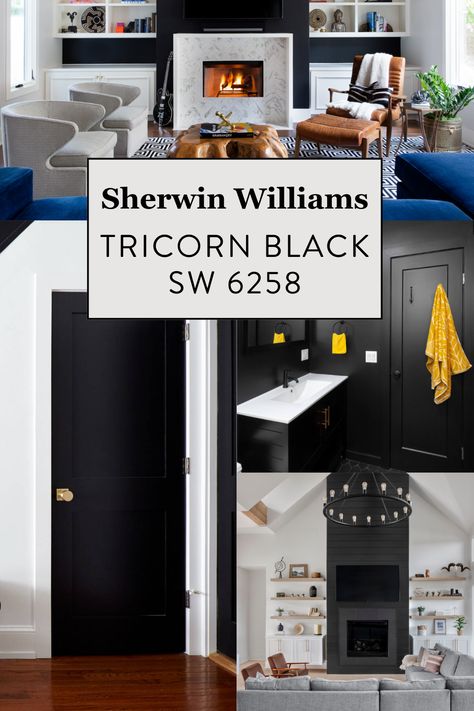 Sherwin Williams Tricorn Black, Tricorn Black, Tricorn Black Sherwin Williams, Tricorn Black Color Palette, White Interior Paint, William Black, Black Paint Color, Black Color Palette, Indoor Doors