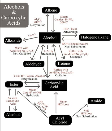 Alcohols and Carboxylic Acids . Visit Our Website. . Link In Bio ☝️☝️☝️ .  Follow For More👇👇👇 @heritagetutorials  @heritagetutorials  @heritagetutorials . Turn on the post of notification to never miss the new post . #science #alcoholacidfat #acidinktattooart #chemistrylab #chemistry #chemistry_lab #chemistrylove #chemistrymemes #chemist #chemistryeducation #homologousseries  #biology #physics #physicianassistant #scienceexperiments #sciencefiction #sciencefacts #scienceteacher  #heritagetuto Organic Chemistry Cheat Sheet, Chemistry Reactions, Organic Chemistry Notes, Chemistry Organic, Organic Chemistry Reactions, Organic Reactions, Chemistry Help, Organic Chem, Organic Chemistry Study