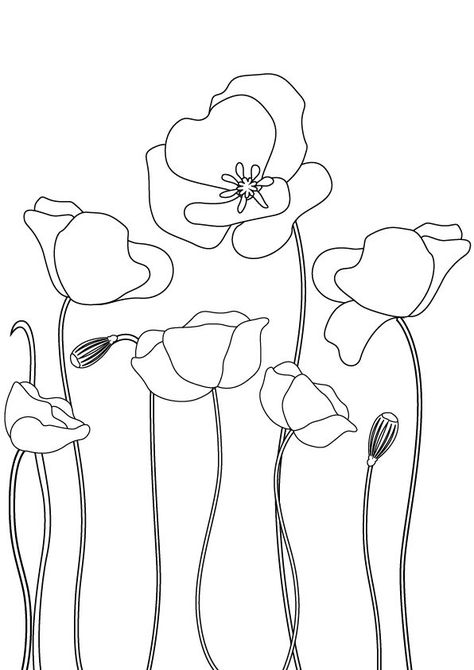 Poppies Line Drawing, Poppy Flower Embroidery Pattern, Poppy Simple Drawing, Poppy Flower Line Drawing, How To Draw A Poppy Flower, Poppies Doodle, Poppy Embroidery Pattern, Poppy Line Drawing, Poppy Doodle