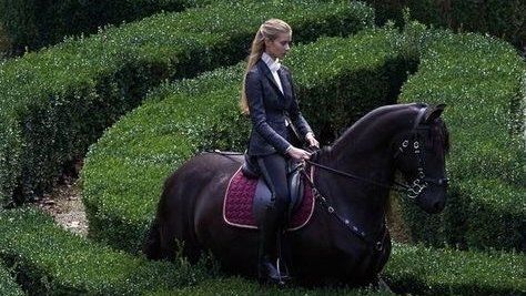 𝐤𝐡𝐢𝐫𝐚 on Twitter: "… " Equestrian Aesthetic, Super Rich Kids, Trust Fund, Rich Kids, Riding Outfit, Sporty And Rich, Old Money Aesthetic, New Energy, Horse Girl