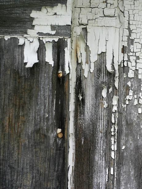 Decay Photography, Foto Macro, Ivy House, Peeling Paint, Art Texture, 50 Shades Of Grey, Materials And Textures, Loft Style, Vintage Modern